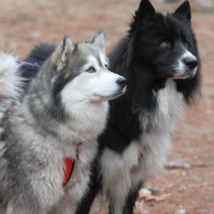 Meet your Posher, Deb